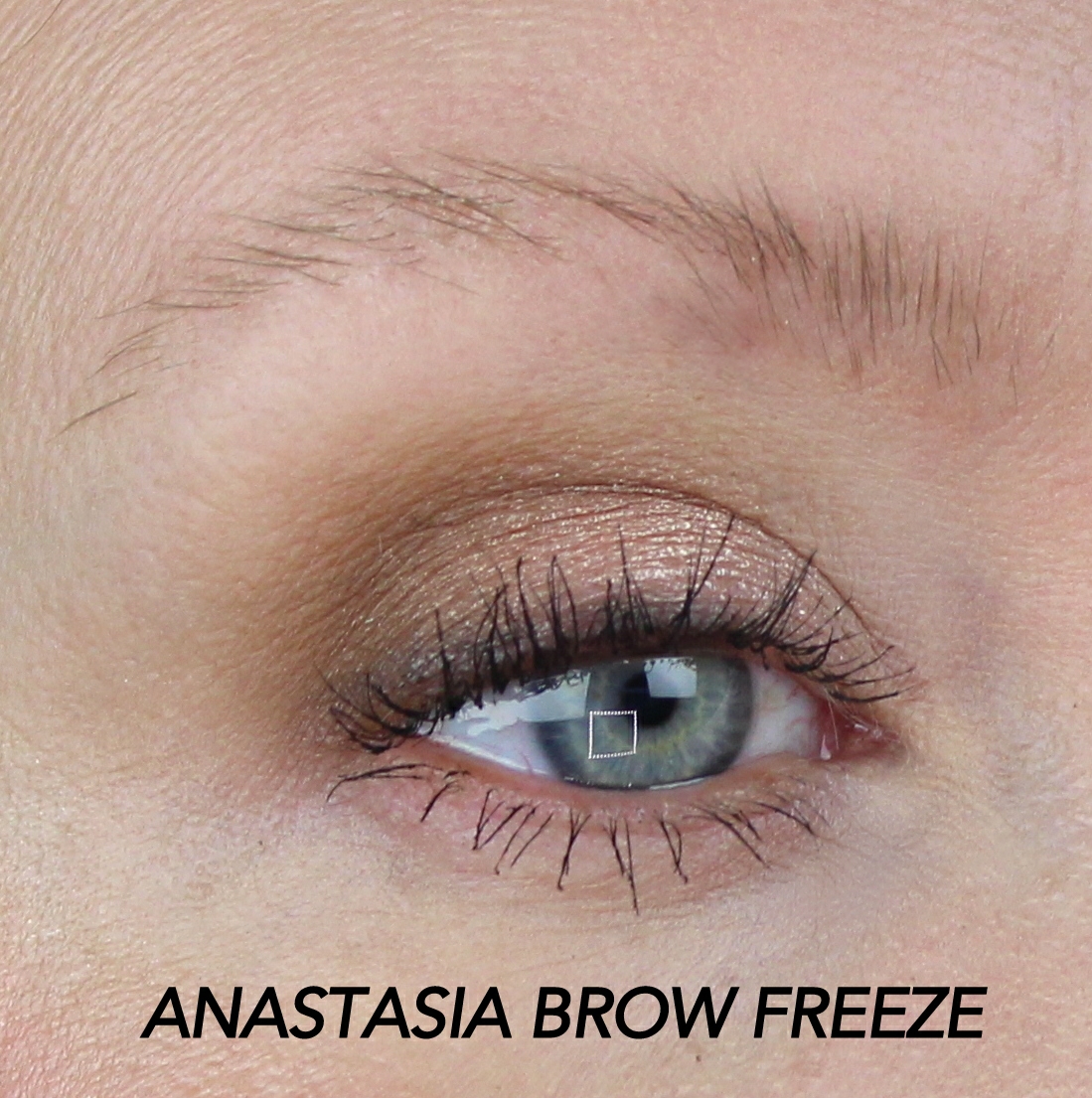 anastasia brow freeze 